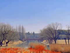 -东方绿舟景区