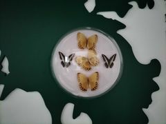 -房山世界地质公园博物馆