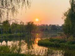 -东郊湿地公园