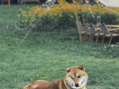 -长白山万达国际度假区