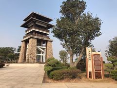 -大湾区中央湿地公园