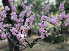 -香山公园-东宫门售票处