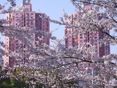 -永乐路-路侧停车场