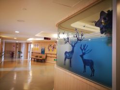 -广州安和泰医学月子会所