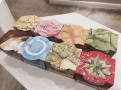 -乐纯(苹果社区店)