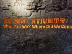 -国家自然博物馆