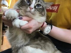 -白兔子密室(长寿路店)