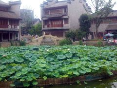 景点-龙潭水乡