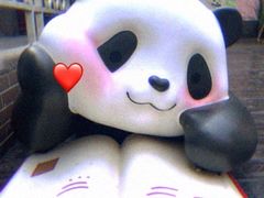 -轩客会(熊猫书店)
