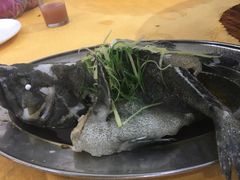 -蚝专家(北滘店)