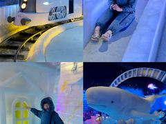 -海合安成都极地海洋公园