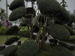 -蔡家宅