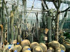 -国家植物园南园