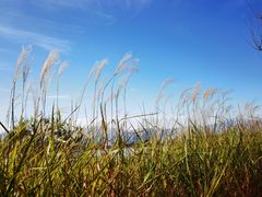 -野鸭湖国家湿地公园