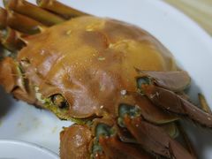 -黄记大闸蟹专卖店·活蟹·醉蟹