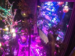 -胡桃里音乐酒馆(曲江店)