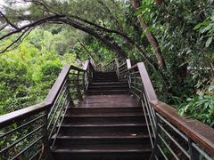 -深圳仙湖植物园