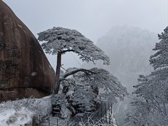 -黄山风景区