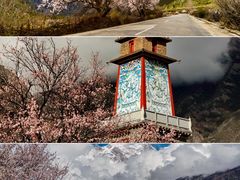 -宗角禄康公园