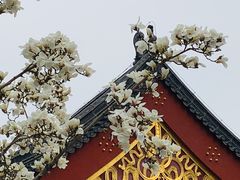-肆月河豚·新淮扬(金融街店)