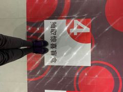 -TESLA 特斯拉(北京颐堤港体验店)