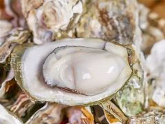 -路边摊小炉子烧烤