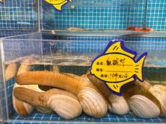 -韩记海鲜饺子旗舰店(红海新区店)