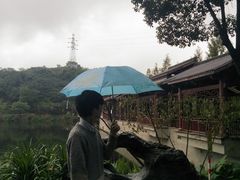 -重庆彩云湖湿地公园