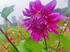 -咸阳湖景区-统一广场