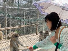 -安徽大青山野生动物世界