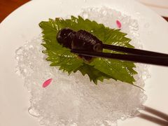-觀芷隐轩