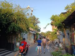 -Sirena海妖日咖夜酒