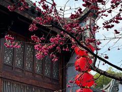 -乌山风景区