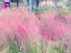 -李兰英湖南面馆(护国路店)