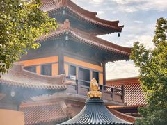 -亭林园-华藏寺