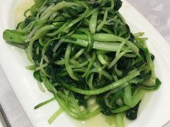 -金蝉食府(维吉奥广场店)