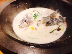 -咕嘟草帽鱼·牛奶一样的鲜鱼汤(天鹅湖万达广场店)