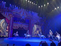 -珠海横琴长隆《卡卡虎奇遇记》