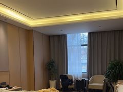 -梨苑林卡金陵山水酒店