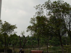 -后襄河公园