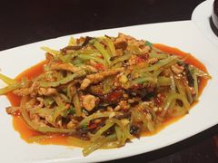 -陈麻婆豆腐总店
