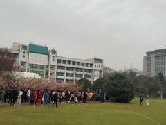 -武汉大学-樱园