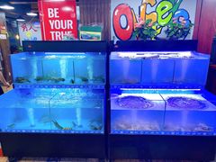 水产区-星记小馆·小蓝龙·老南京砂锅菜(上海路店)