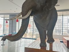 -吉林省自然博物馆