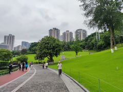 -龙头寺公园