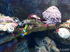-嘉兴海底世界