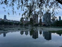 -宝岛公园