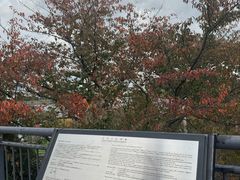 -台场海滨公园船码头