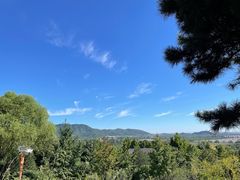 -北京西山国家森林公园