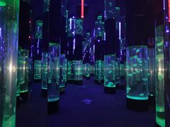 -成都浩海立方海洋公园